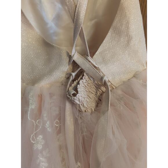 7 Dollcake Juliet Tutu Dress - Picture 5 of 6